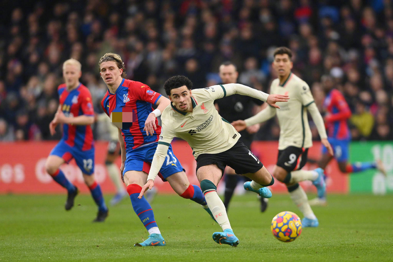 他也是亞洲 他也是亞洲